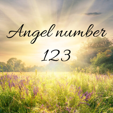 123 Angel Number Spiritual Meaning