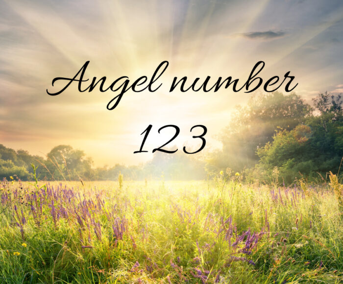123 Angel Number Spiritual Meaning