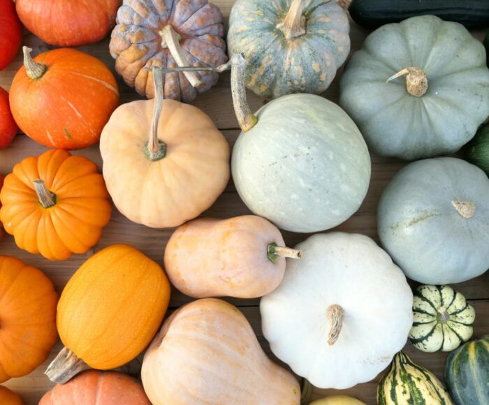 13 Different Types of Squash and How to Identify Them