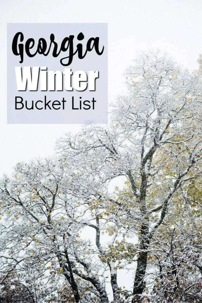 Georgia Travels - Winter Bucket List