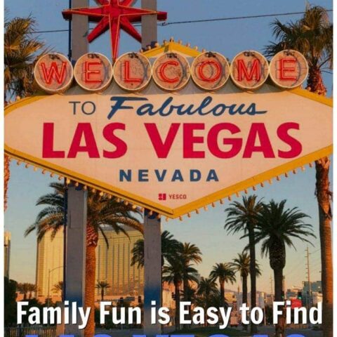 Family Fun Vegas