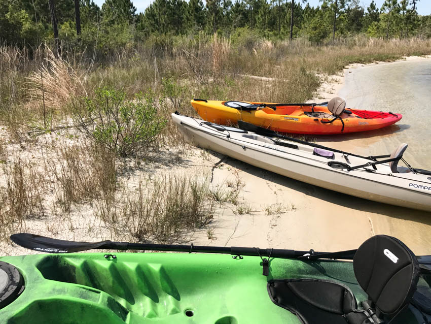 Coastal Kayak Excursions Gulf Shores-15