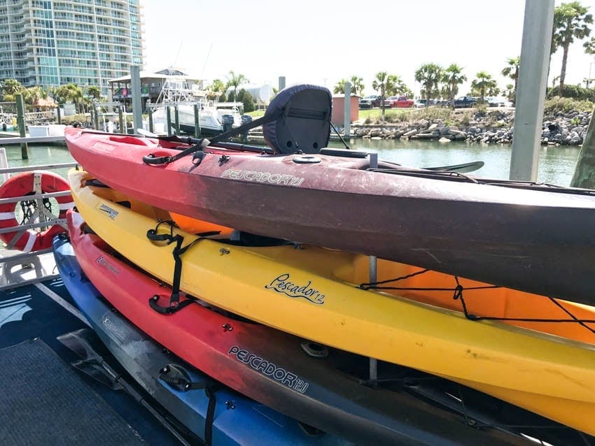 Coastal Kayak Excursions Gulf Shores-2
