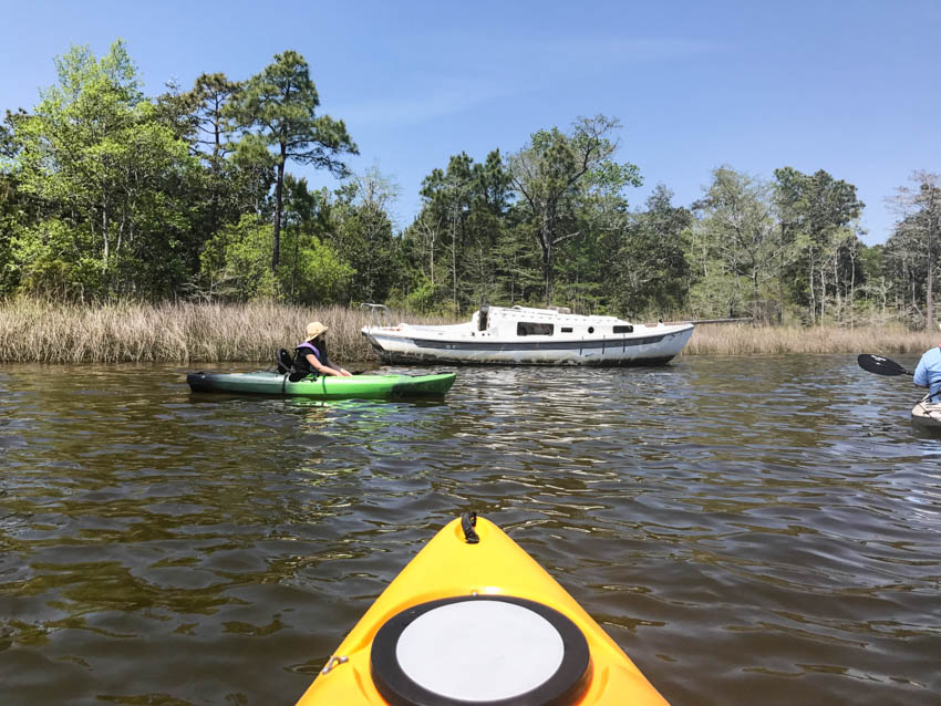 Coastal Kayak Excursions Gulf Shores-9