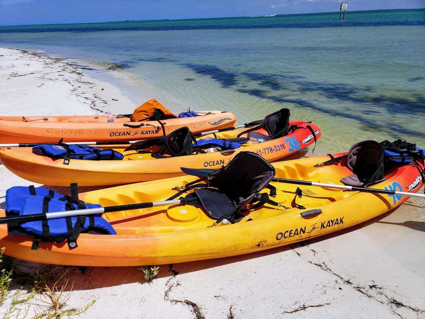 kayak rentals at beach bums
