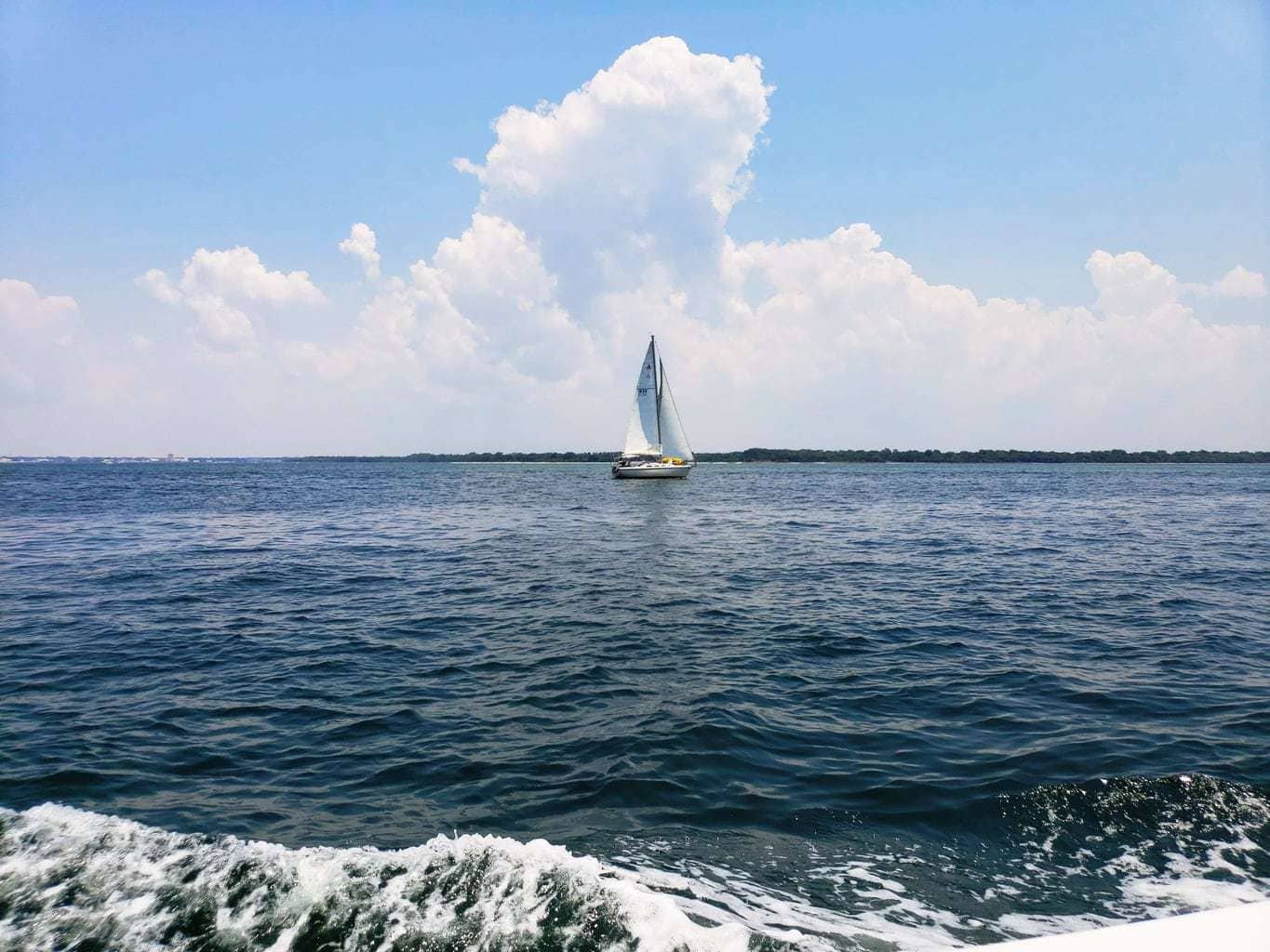 sail-boat-rental-pcb