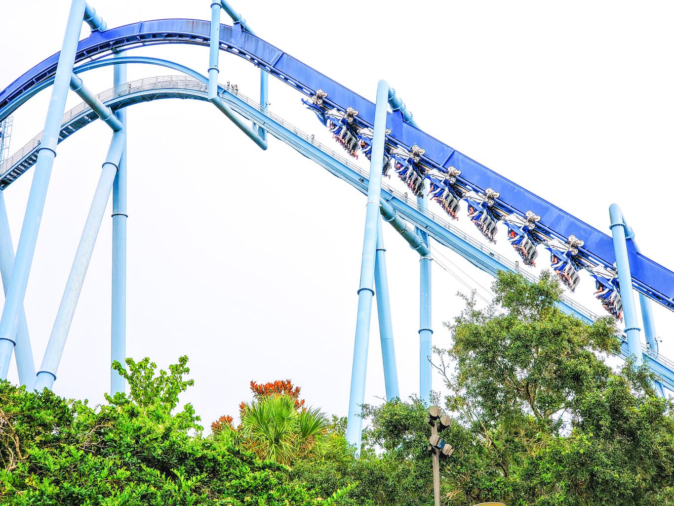 manta flying roller coaster at sea world in Orlando