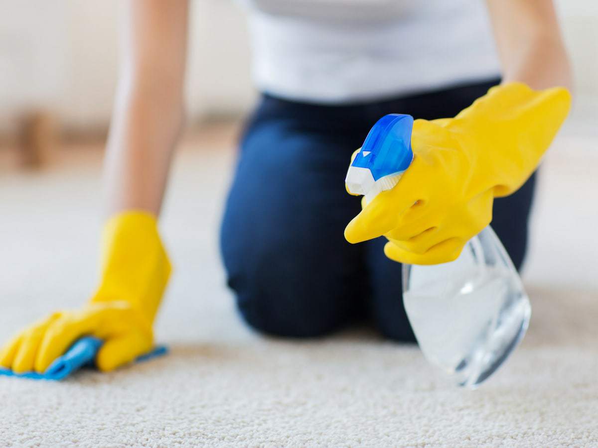 Never rub spills on carpets, carpet cleaning tips