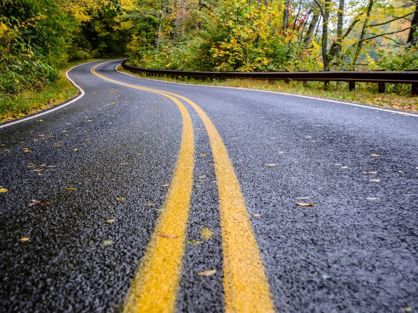 fall-safety-driving-tips-wet-road