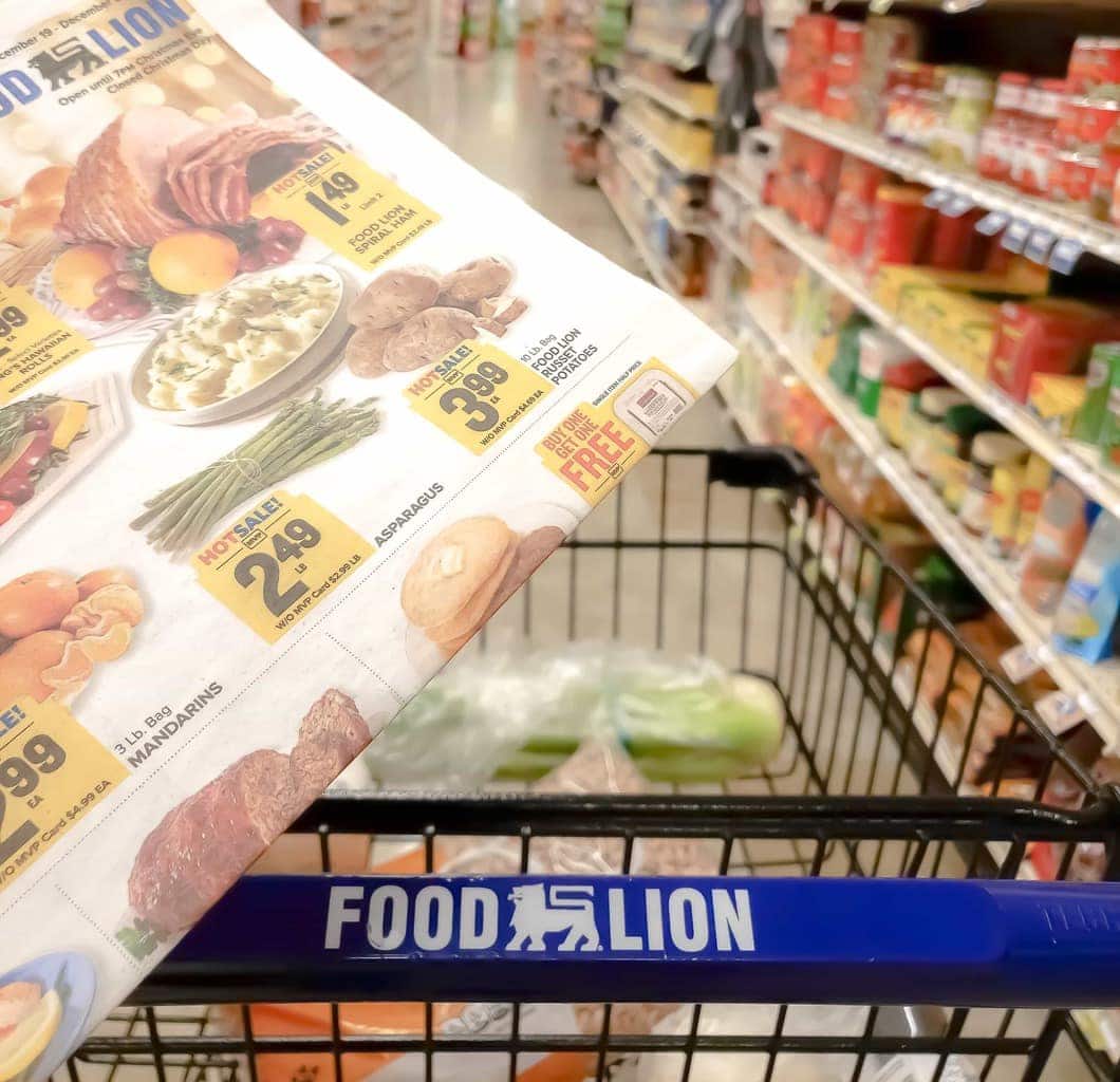 food-lion-weekly-sales-ad