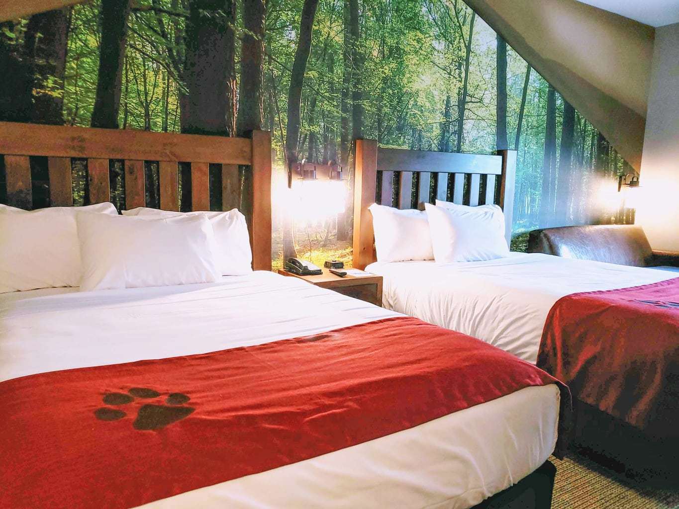 great-wolf-lodge-rooms