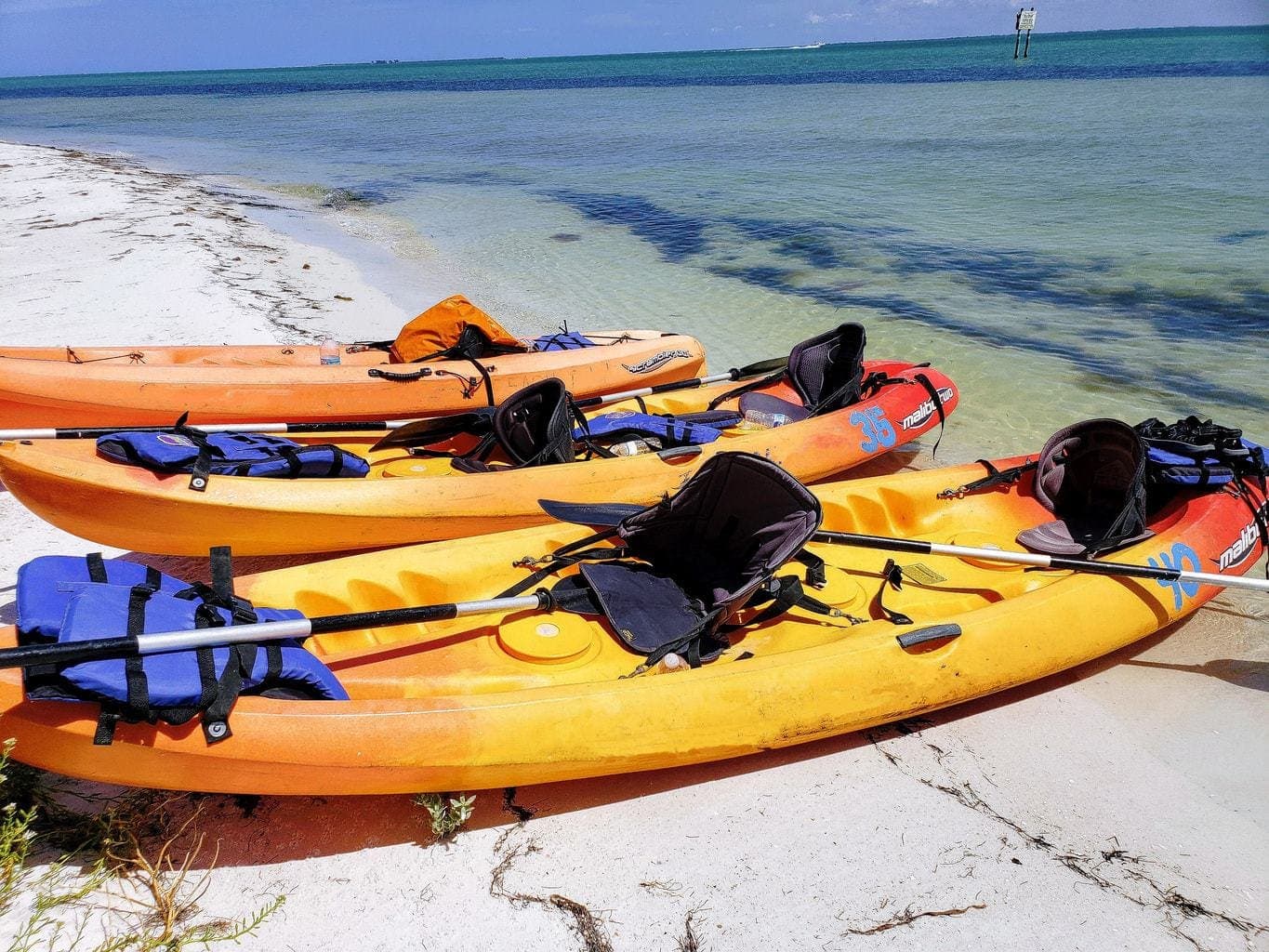 travel with kids, kayaking in florida