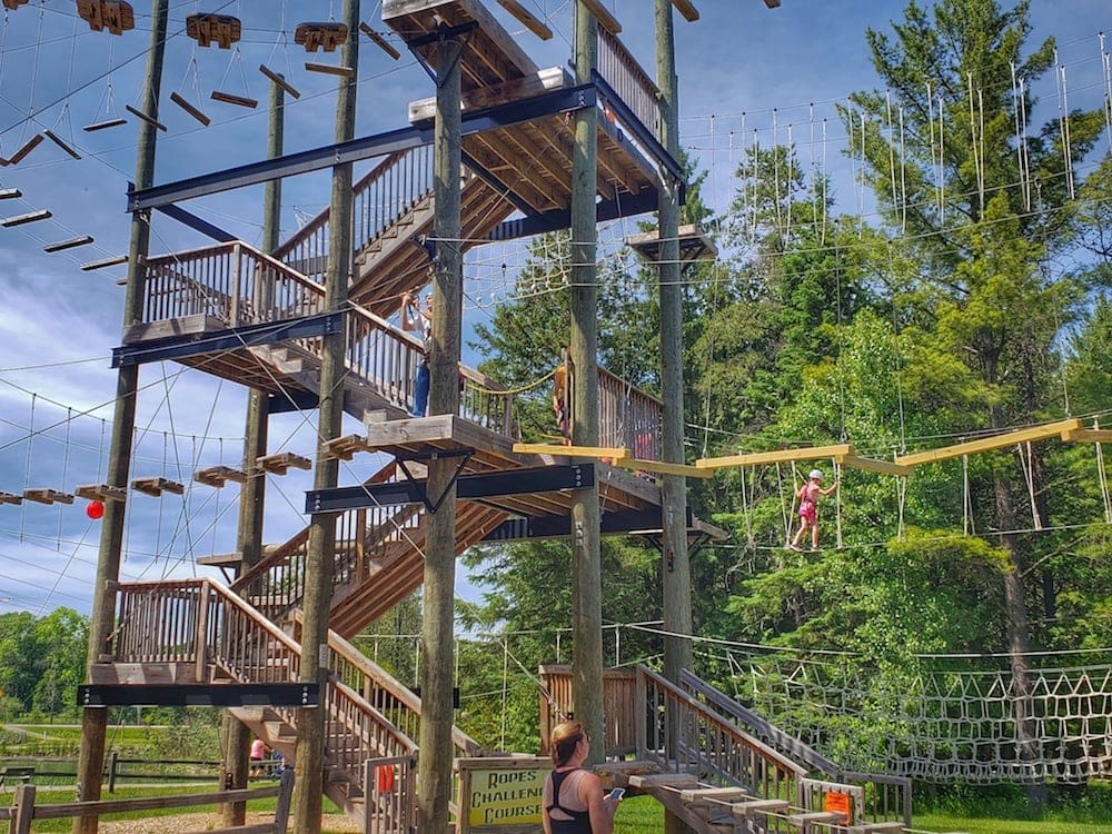 Kids will love the adventure park with zip lines at the NEW Zoo