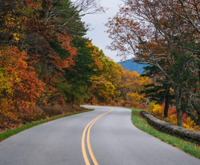 Family Thanksgiving Traditions plus Holiday Road Trip Safety Tips