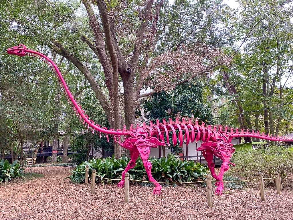 Tallahassee Museum, Things to do in Tallahassee