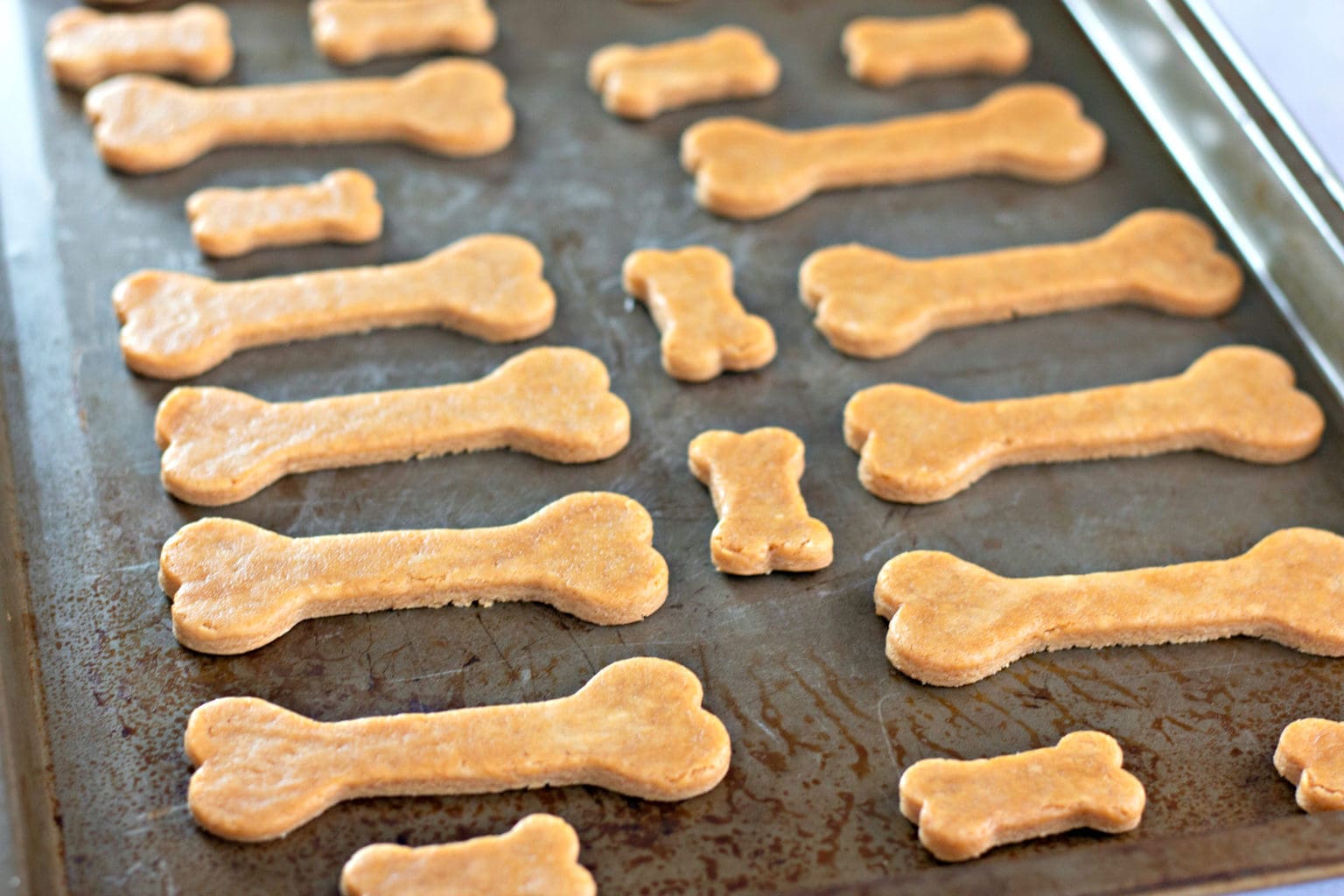 dog bone treats on oven pan