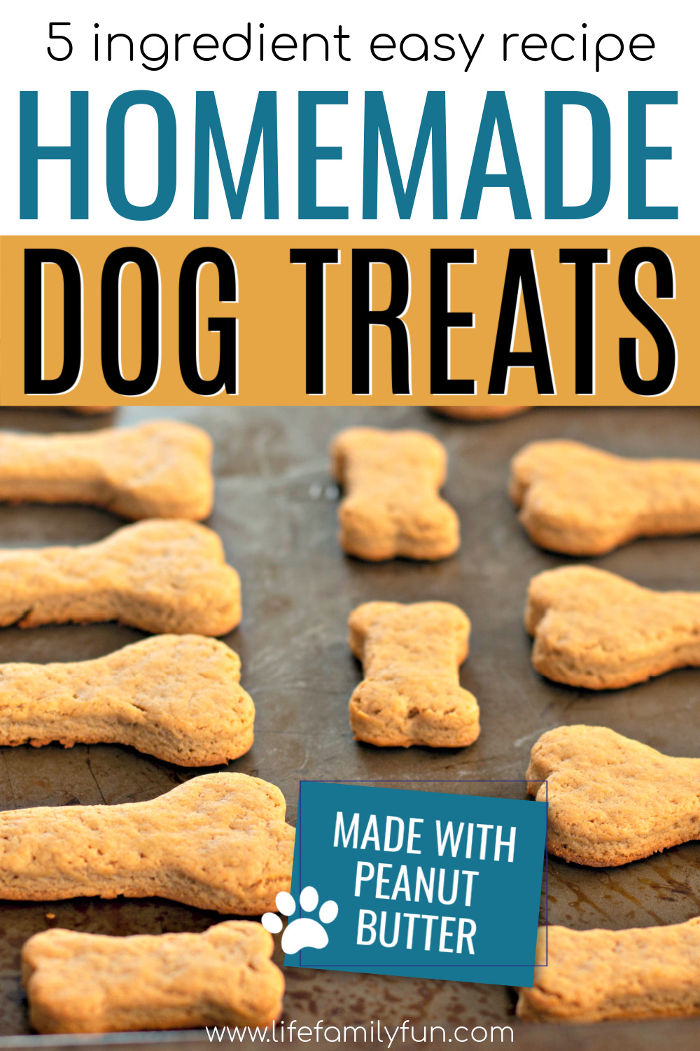 dog treat recipe
