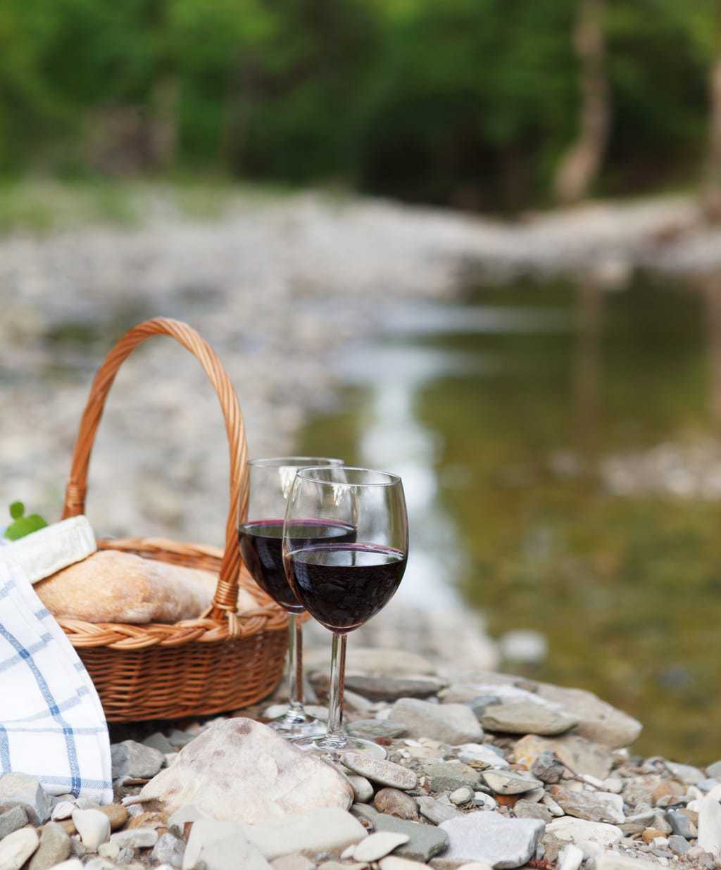 Red wine, cheese and bread served at a picnic