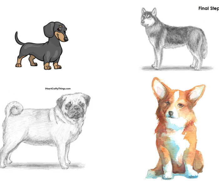25 Easy Ways of How to Draw a Dog