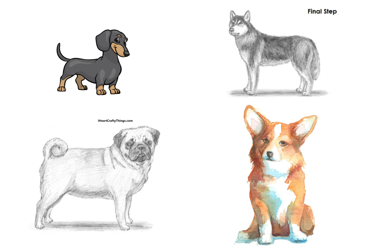 How to Draw a Dog - An Easy Dog Drawing Guide