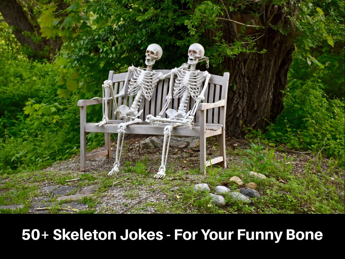 50+ Skeleton Jokes - For Your Funny Bone