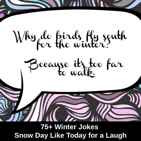 75+ Winter Jokes - Snow Day Like Today for a Laugh