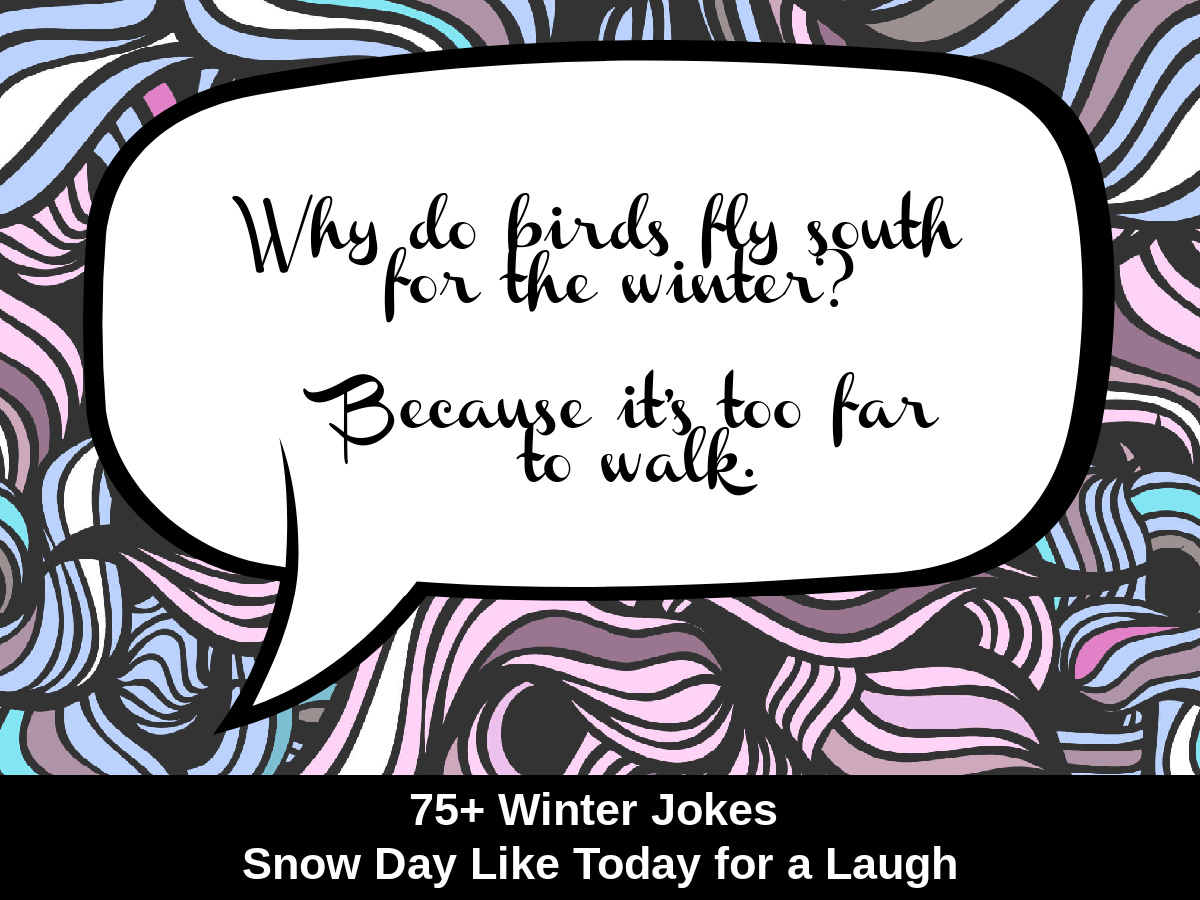 75+ Winter Jokes - Snow Day Like Today for a Laugh