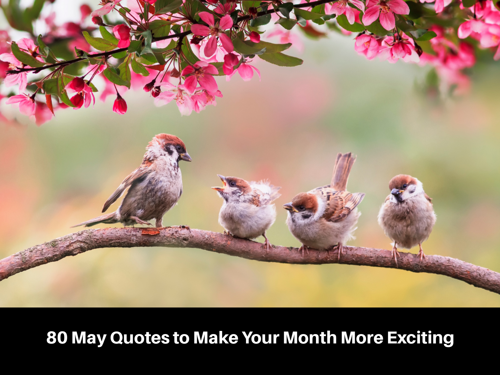 80 May Quotes