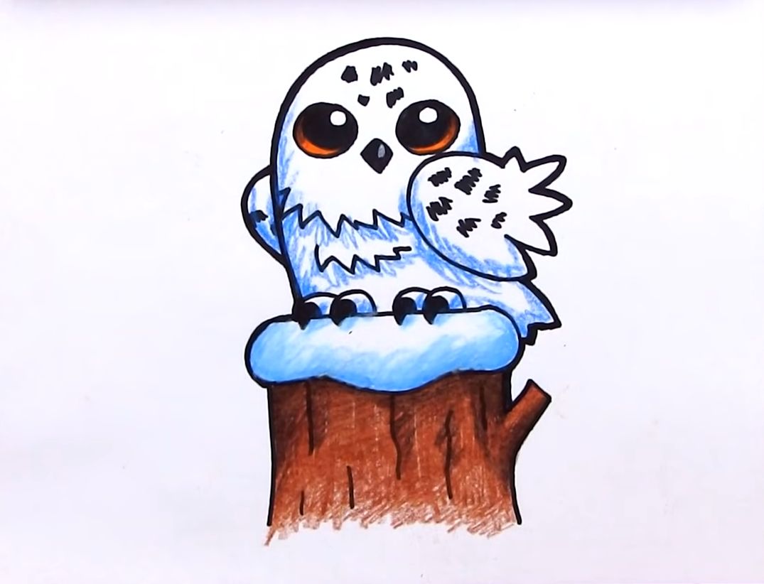 A Cartoon Owl Drawing Tutorial