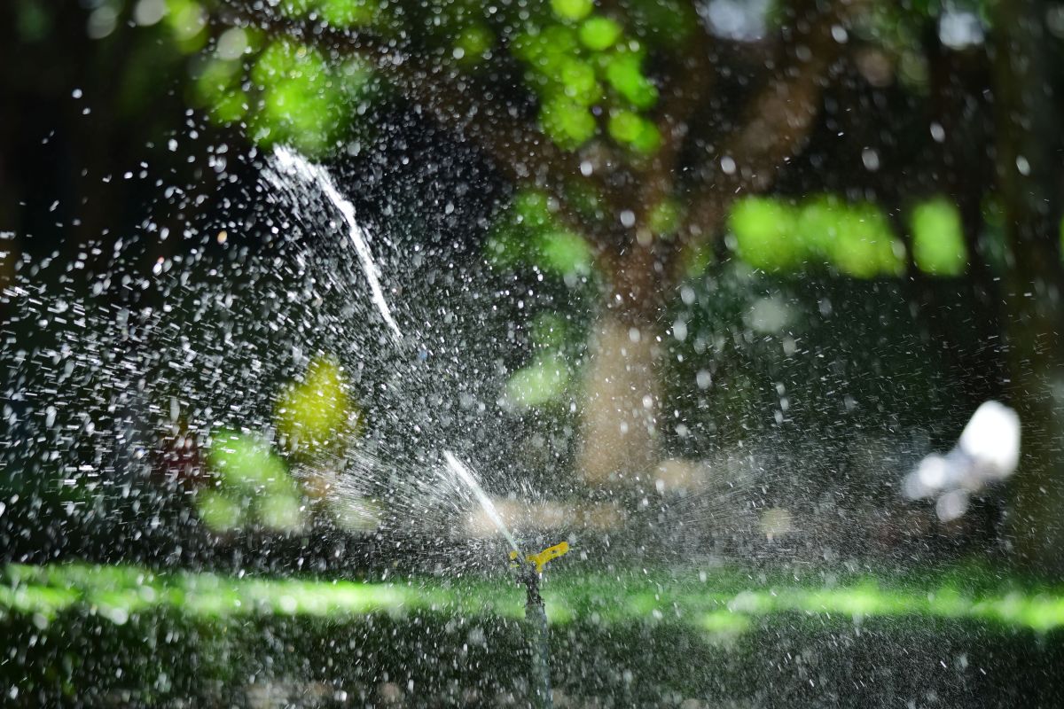 A Greener Yard Starts With a Smarter Sprinkler System