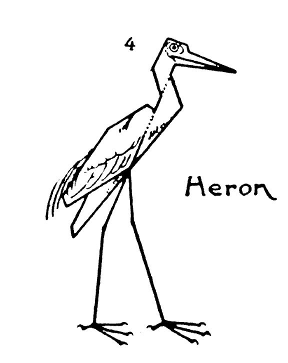 A Heron