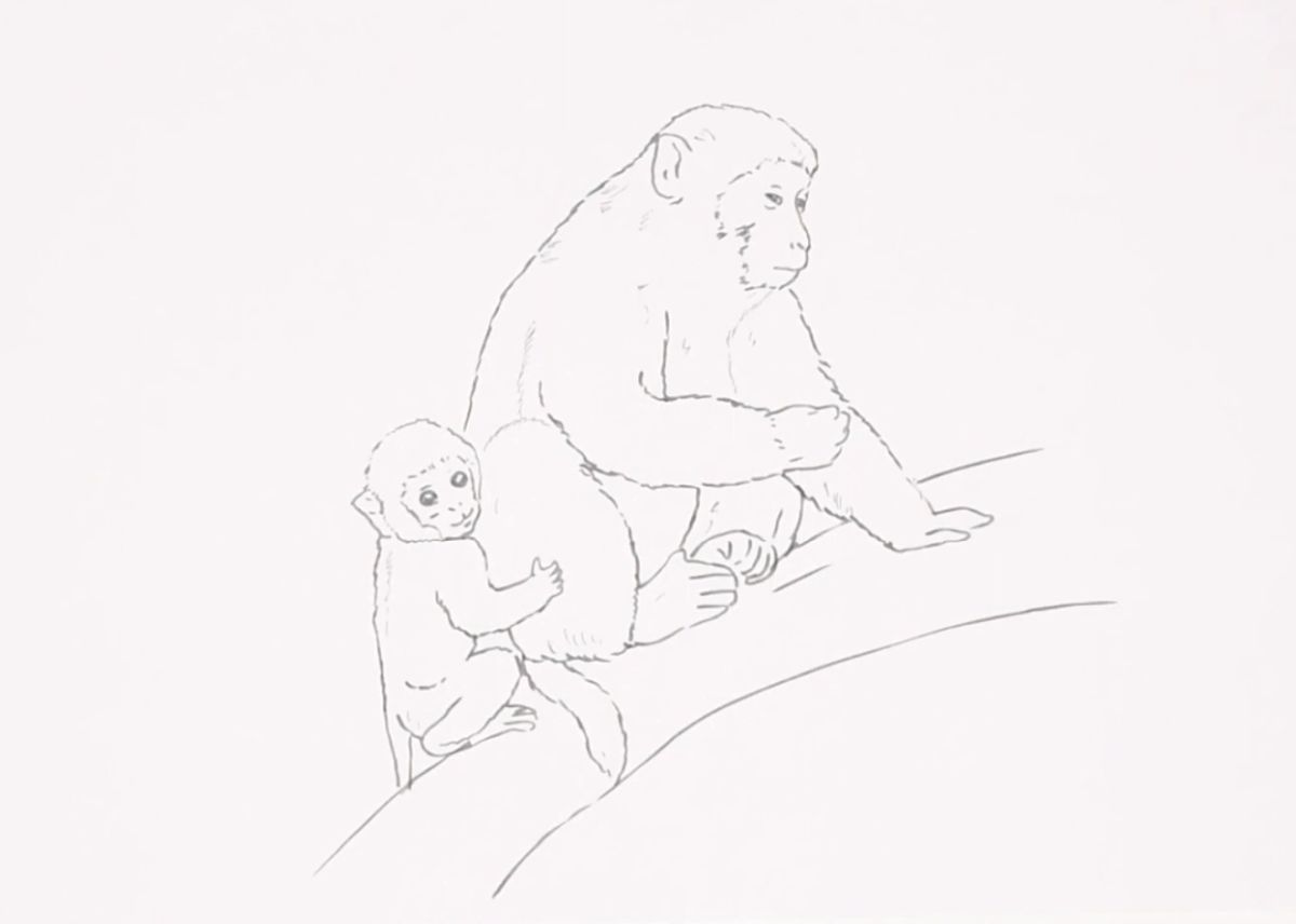 En mor och barn apa ritning handledning