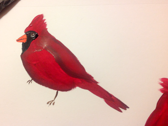 Acrylic Cardinal
