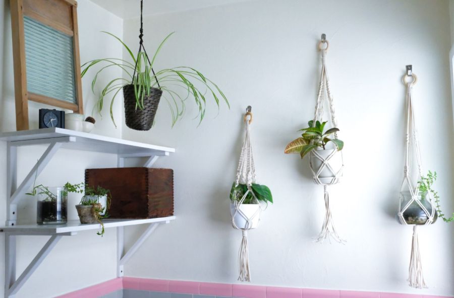 Add Hanging Plants for a Natural Vibe