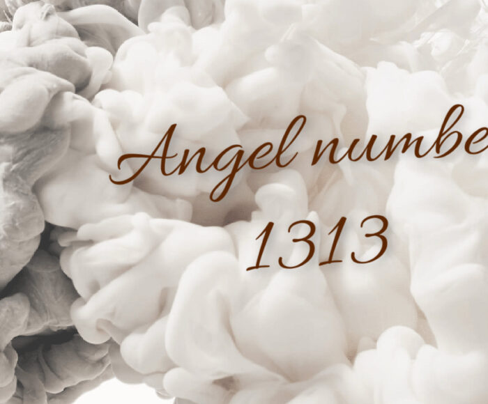 1313 Angel Number Spiritual Meaning