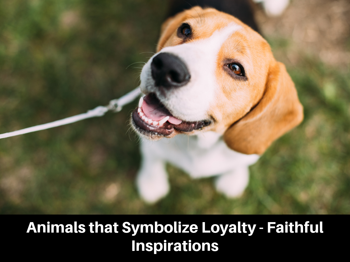 Animals that Symbolize Loyalty - Faithful Inspirations