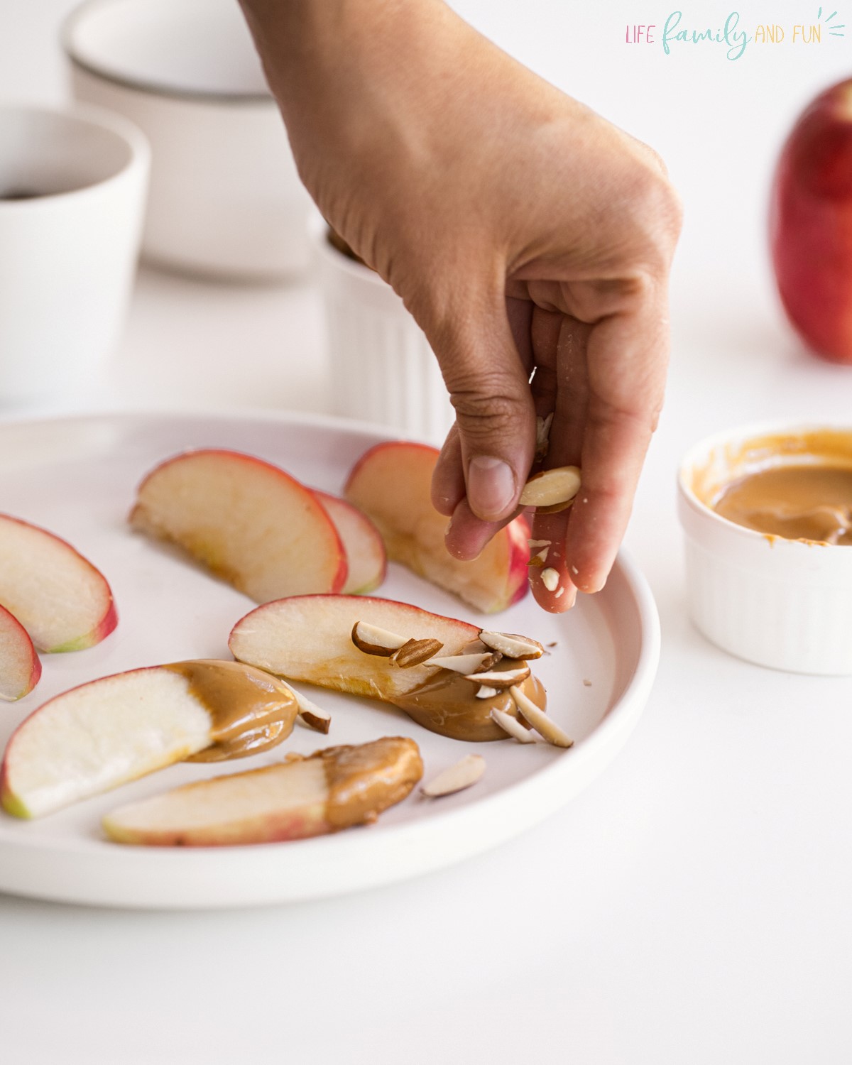 Apple Slices with Peanut Butter - on plate
