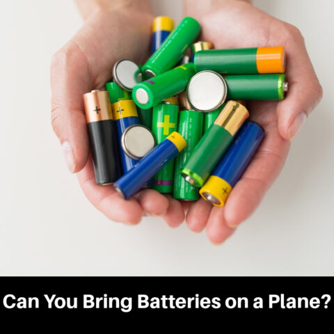 Can You Bring Batteries on a Plane? (Guide)