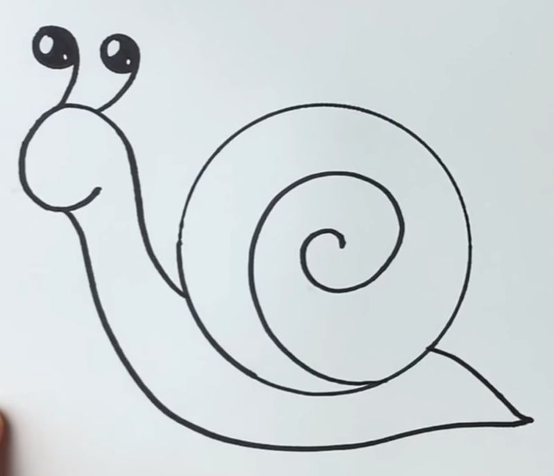 Beginners how to draw a cartoon snail