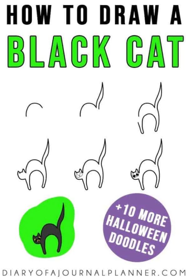 Black Cat Doodle