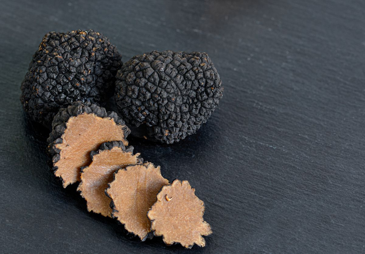 Black Truffle Mushrooms