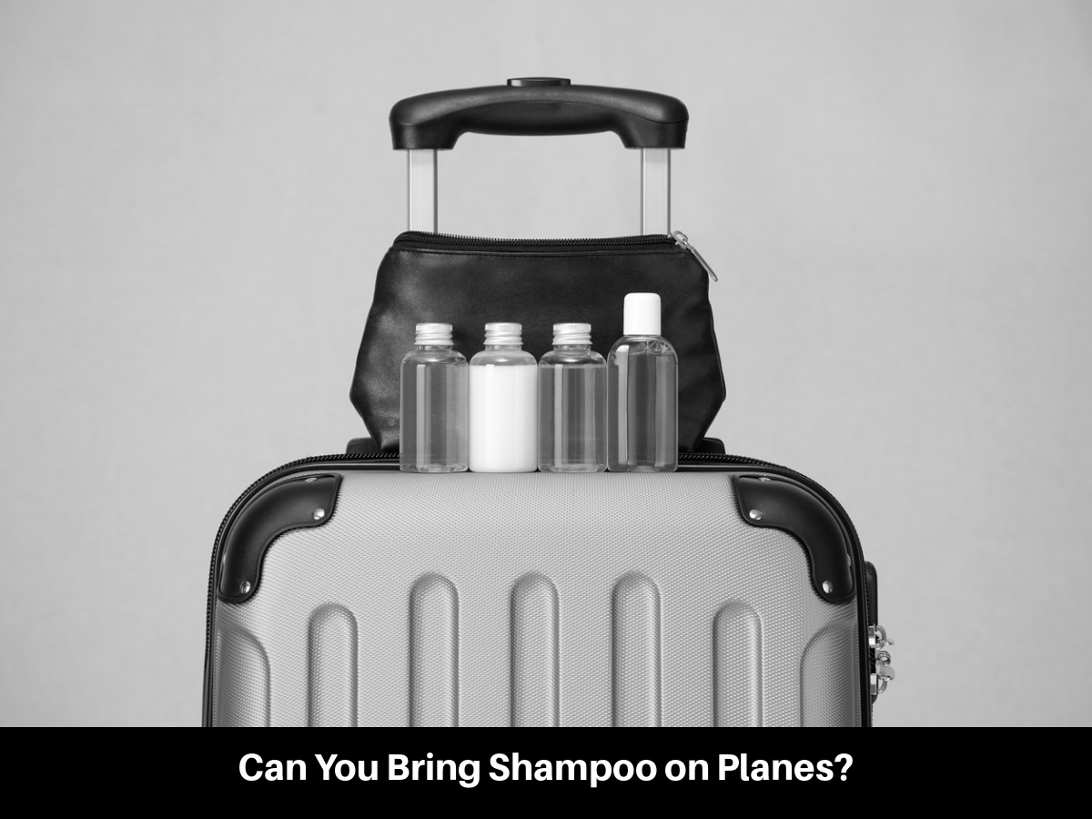 Can You Bring Shampoo on Planes?