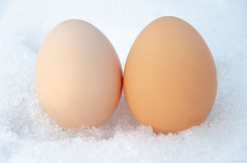 Can You Freeze Hard-Boiled Eggs