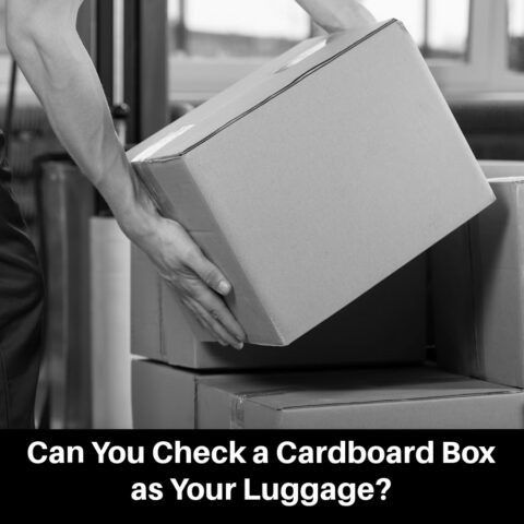 Can You Check a Cardboard Box as Your Luggage?