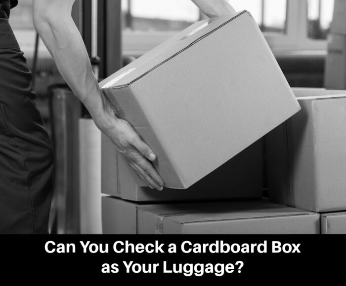 Cardboard Box as Your Luggage