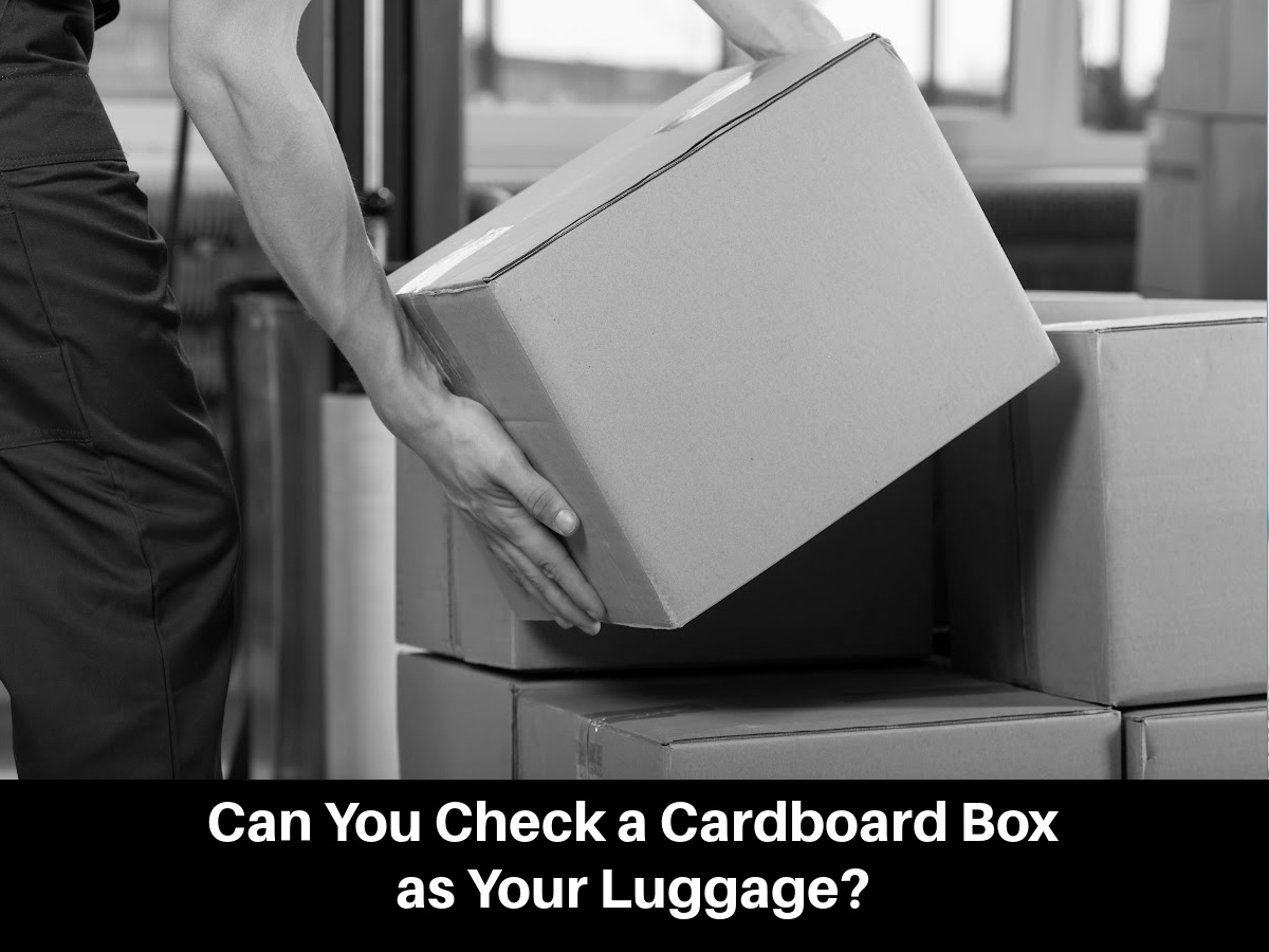 Cardboard Box as Your Luggage