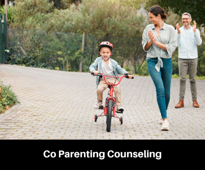 Co Parenting Counseling