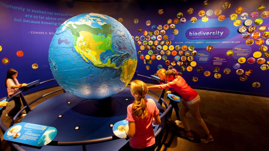 Discovery Place