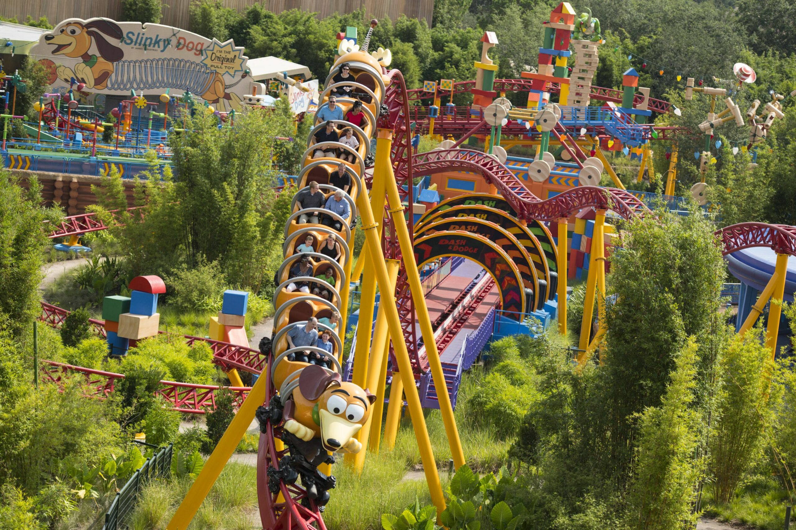 Disney World Roller Coaster Rides