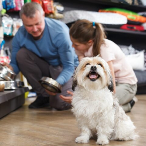 Dog Friendly Stores